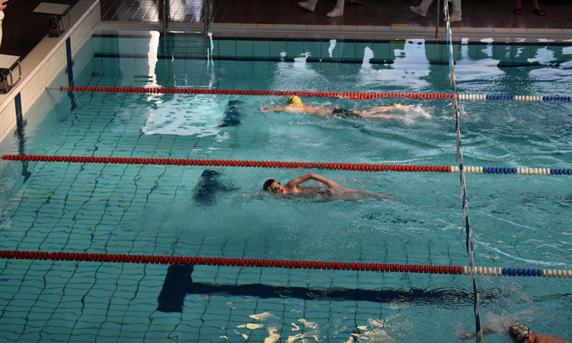 Borretjes.nl - Alles over het wedstrijdzwemmen van Kenji en Alyssia